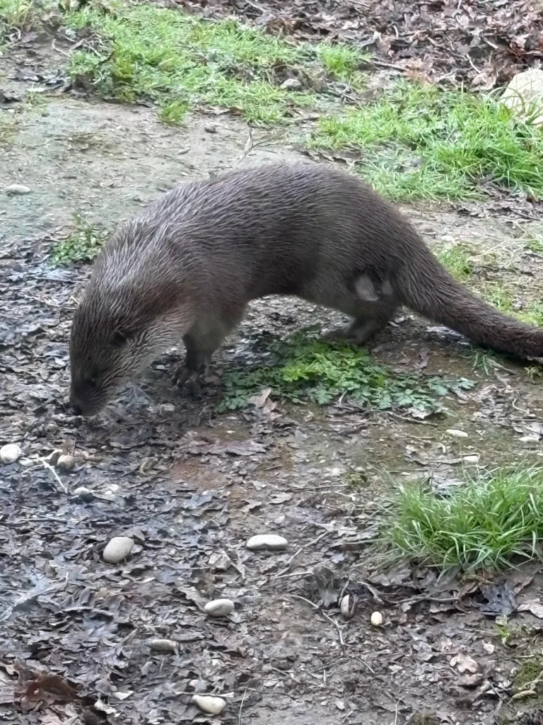 Aquamuseu do Rio Minho